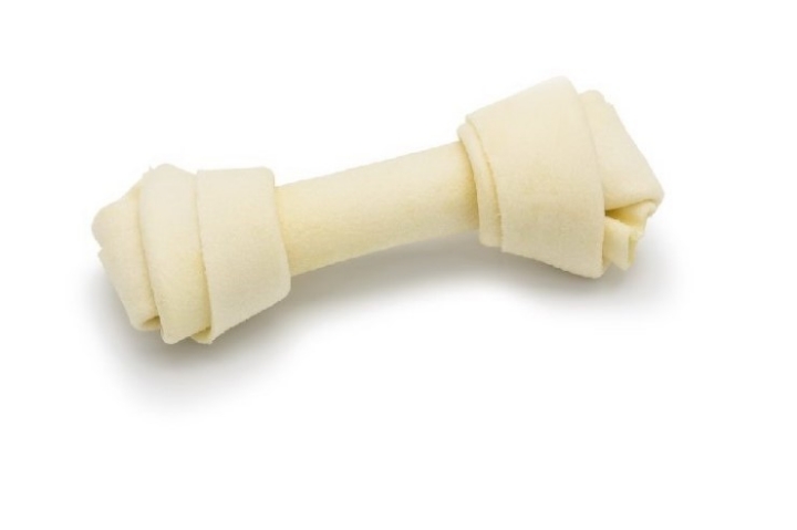 강아지 키우는 사람들이 한번씩 해봤다는것..jpg | 인스티즈