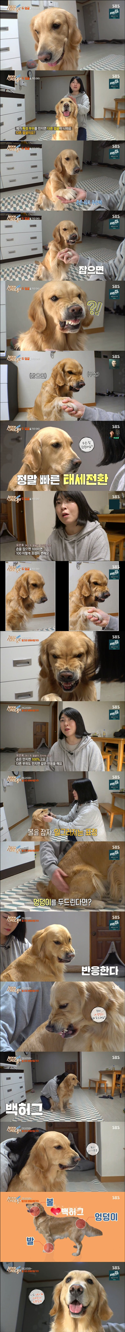 옐로카드 100장 한번에 쓰는 골댕이.JPG | 인스티즈