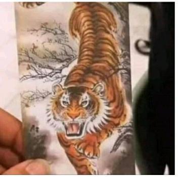 호랑이 타투 | 인스티즈