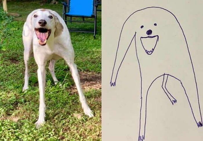 너무 대충 그려줬다는 말에 발끈한 주인이 공개한 '실제' 사진 | 인스티즈