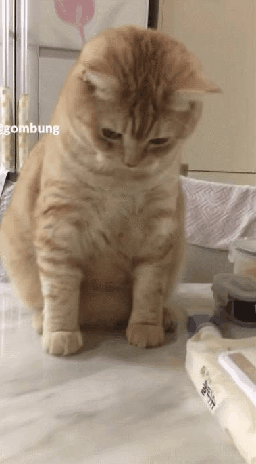 그들의 반사신경 | 인스티즈