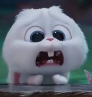 마이펫의 이중생활에서 핵귀여운 스노우볼.gif | 인스티즈