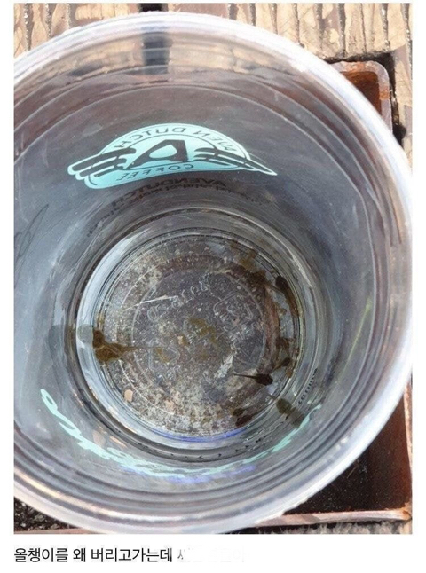 장성규의 워크맨 편의점편이 노잼소리 듣는이유.jpg | 인스티즈