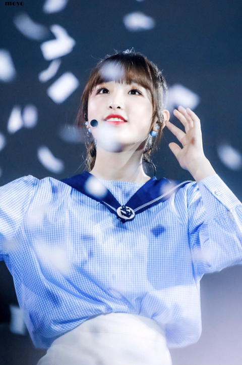 더쿠 사쿠라의 아이즈원 소개 | 인스티즈