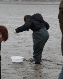 갯벌에 갇힌 청하 | 인스티즈