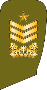 족구대결 올스타 승자는? | 인스티즈