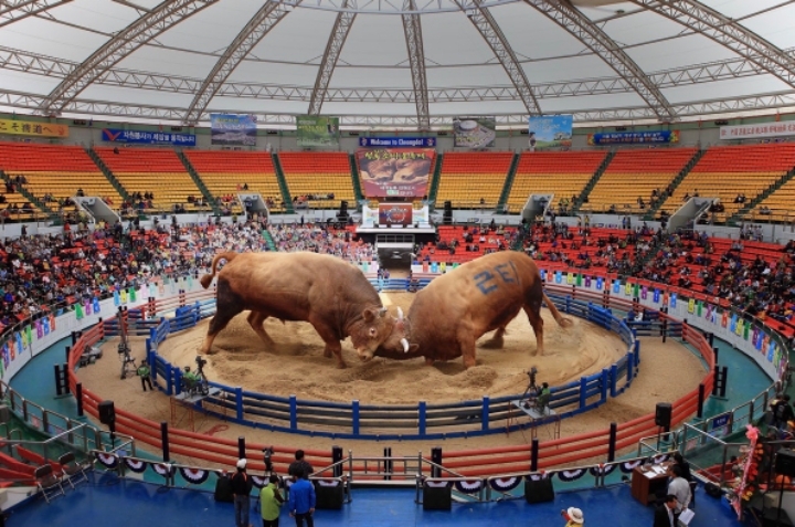 서울사람들이 잘 모르는것 | 인스티즈
