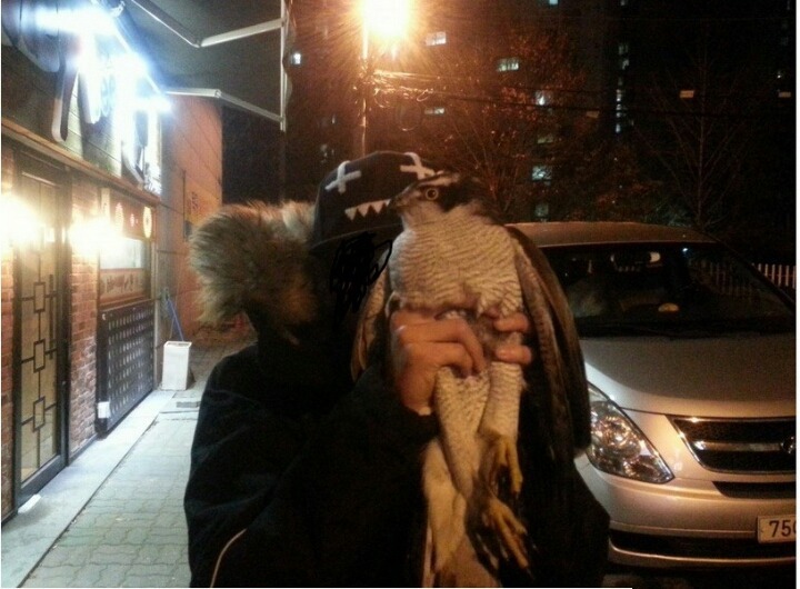 맨손으로 매 잡은 디씨인 | 인스티즈