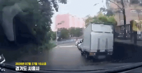 100:0이 아닌 이유는 안알려줌.gif | 인스티즈