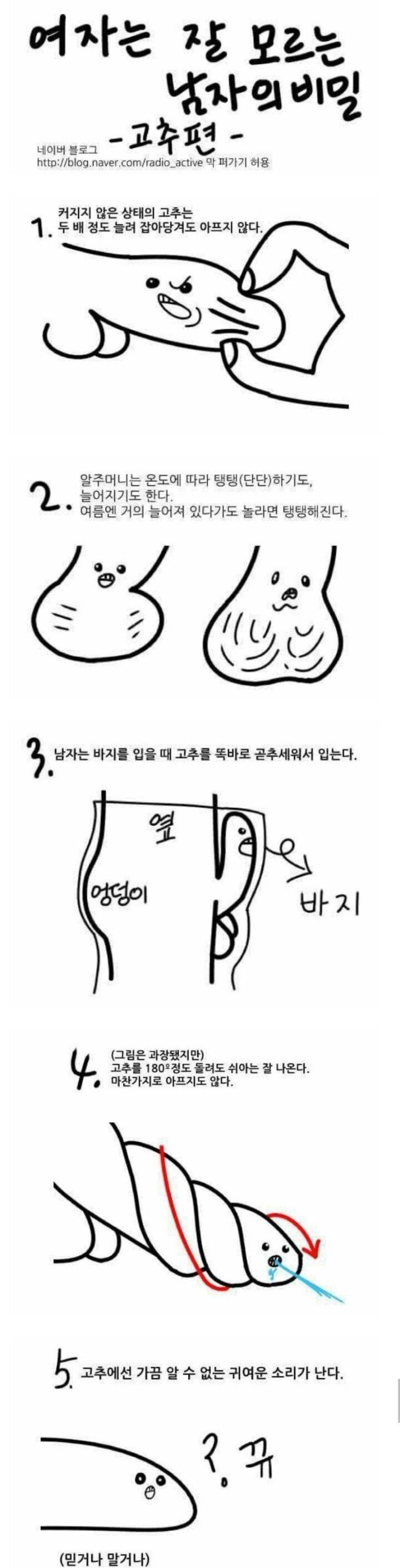 여자들은 잘 모르는 남자 꼬추의 비밀...jpg | 인스티즈