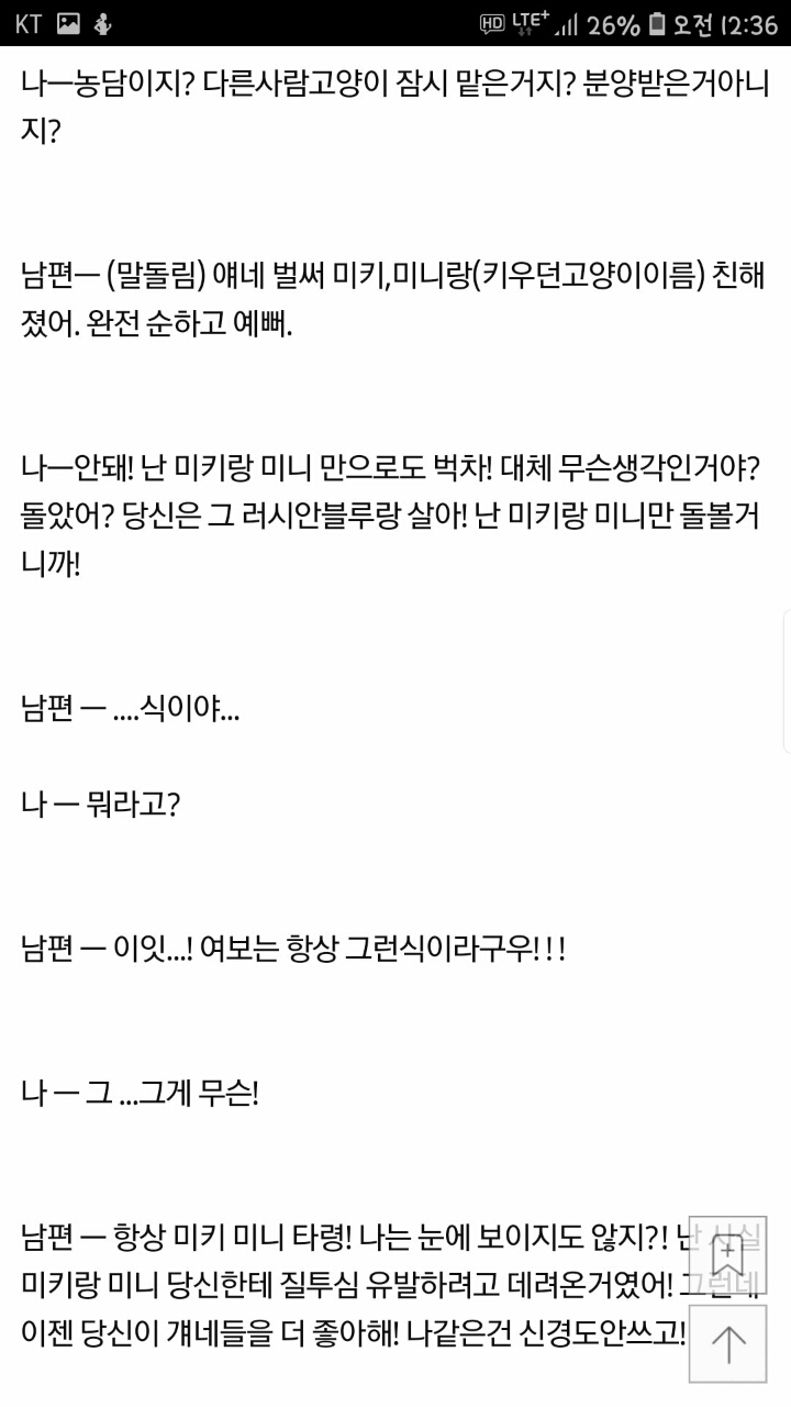 남편이 고양이한테 미쳤어요.jpg | 인스티즈