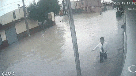 안전사고모음 (혐오주의) | 인스티즈