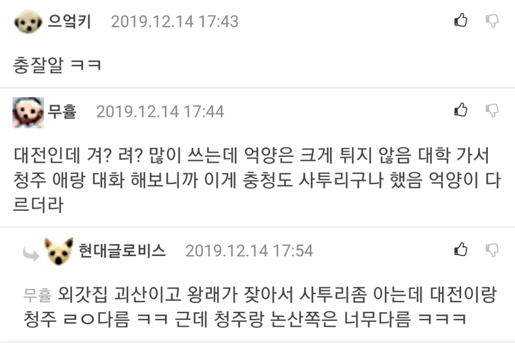 충청도 사람들도 인정한다는 충청도 사투리........jpg | 인스티즈