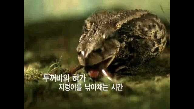 1초 동안 우주에서 벌어지는 일 | 인스티즈