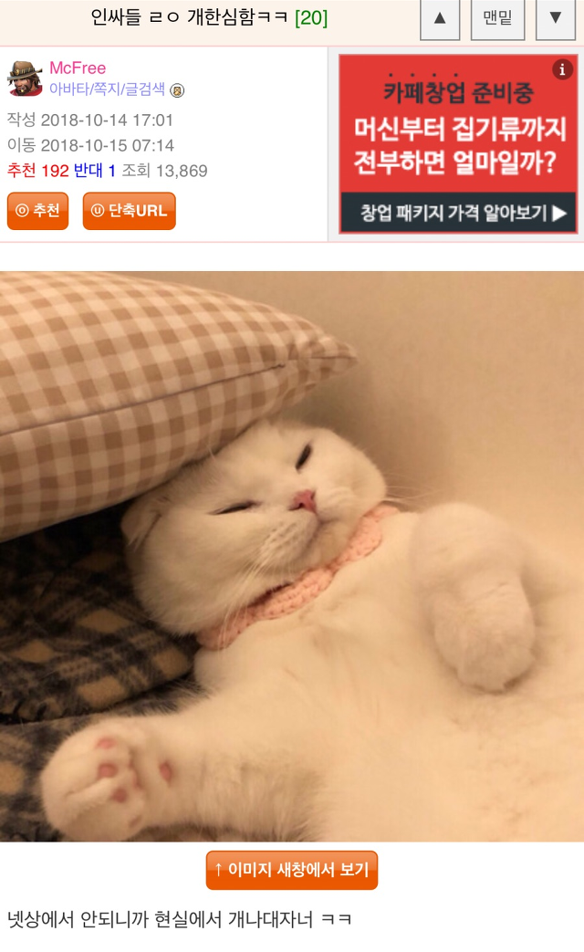 인싸들 ㄹㅇ 개한심함ㅋㅋ | 인스티즈