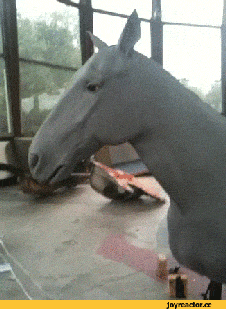 대부분의 사람들이 잘못 알고 있는 사실 | 인스티즈