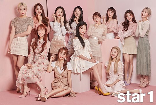 [아이돌이야기] 진짜 인기와 가짜 인기의 차이... 모모랜드 이야기 | 인스티즈