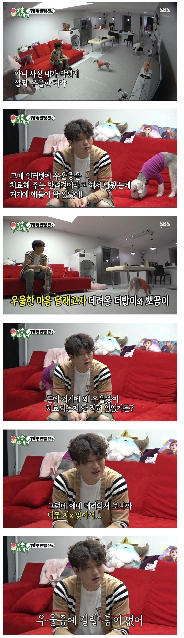 반려견이 우울증에 좋은 이유 . JPG | 인스티즈