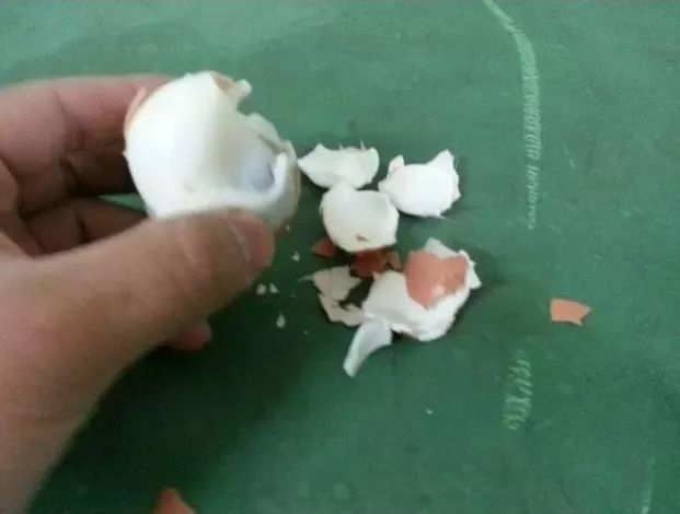 군필 눈에는 계란 후라이.jpg | 인스티즈