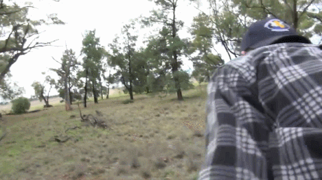 댕댕이 구출 레전드 | 인스티즈