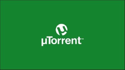 토렌트 정부차원에서 완전히 규제 해야한다 vs 안해도 된다 | 인스티즈