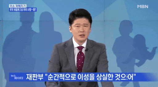 나름 매니아층이 많다는 뉴스 앵커 gif | 인스티즈