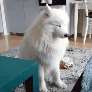 졸다가 걸림 | 인스티즈