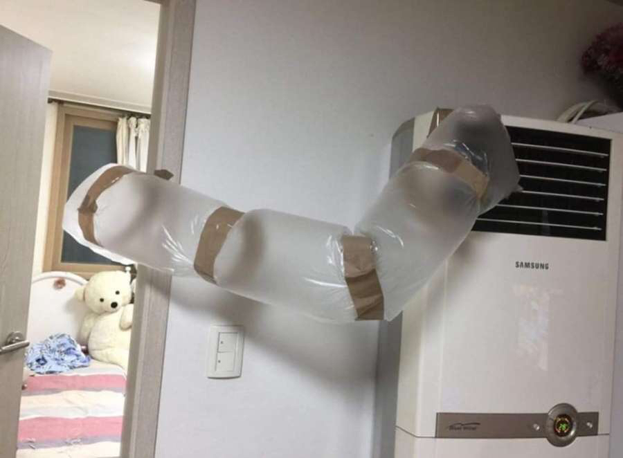 고양이가 여름 나는법 (비닐터널) | 인스티즈