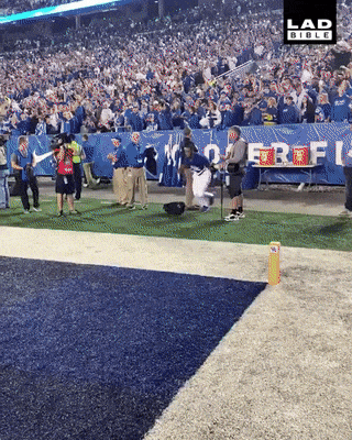 NFL 선수의 운동신경.gif | 인스티즈