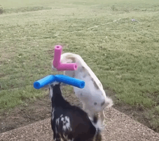 꿈 속에서 싸울 때.jpg | 인스티즈