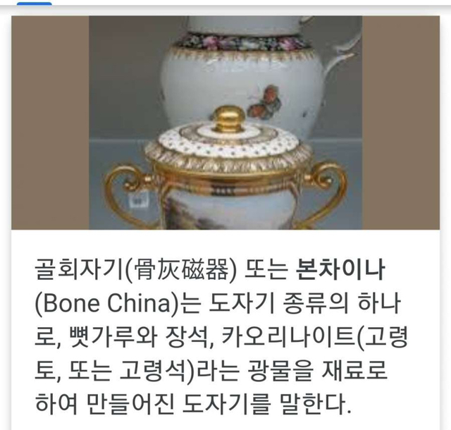고급 도자기는 왜 본차이나 "Bone China"라고 불리는 걸까? | 인스티즈