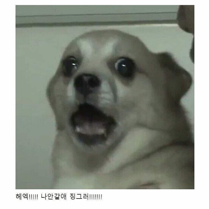 의외로 이거 못견디는 사람 많음.jpg | 인스티즈