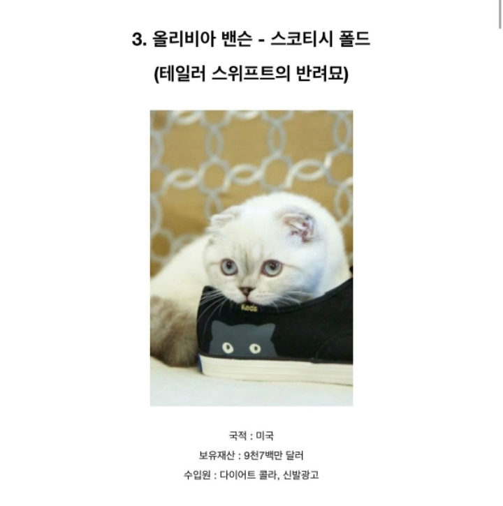 전세계에서 제일 부자인 동물 Top5 .JPG | 인스티즈