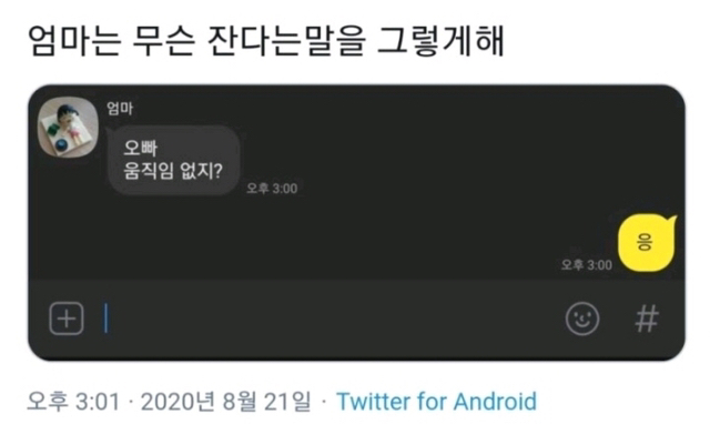 오빠 자냐고 묻는 엄마 | 인스티즈