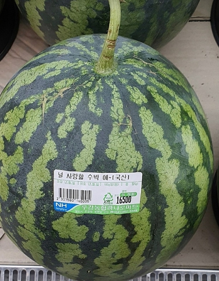 제목 장인이 일하는 하나로마트 2탄 | 인스티즈