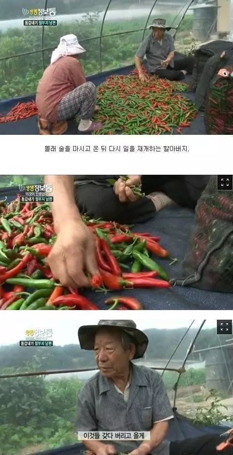 생생정보통 철부지할아버지 | 인스티즈