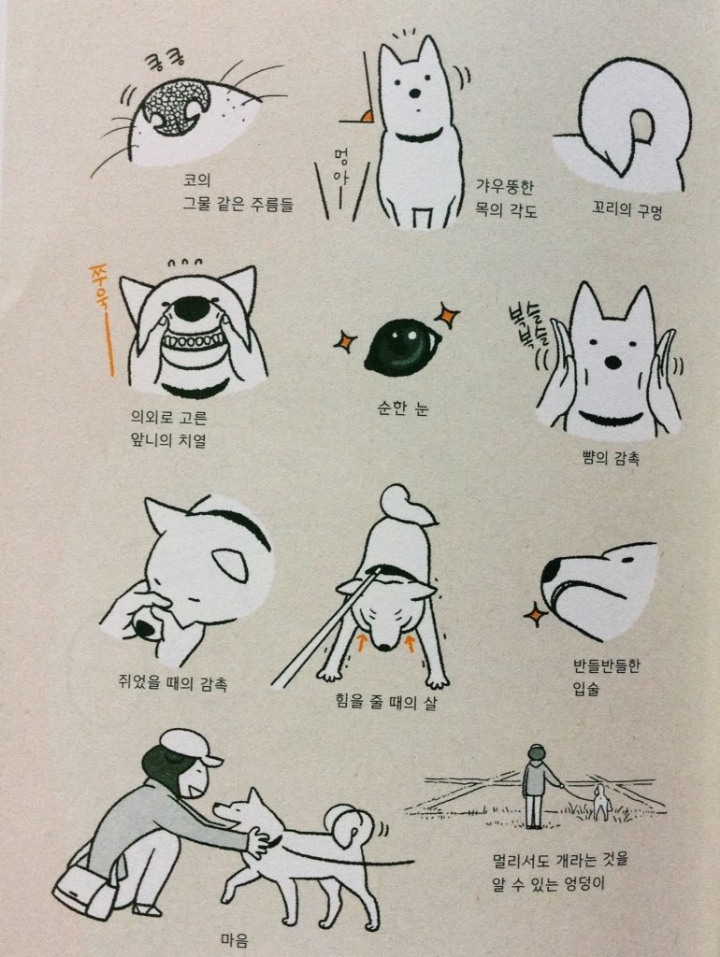 개와 오랜시간 지내며 관찰하면 알수있는 개의 짱덕 포인트.jpg | 인스티즈