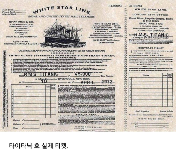 다소 놀랍고 신기한 세계의 희귀사진.jpg | 인스티즈
