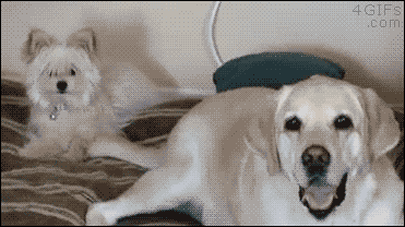 뜻밖의 시리즈.gif | 인스티즈
