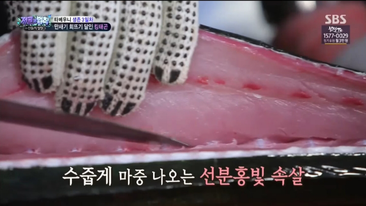 배우 이태곤의 회 뜨기 실력.jpg | 인스티즈