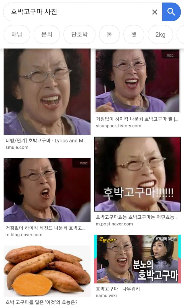 🍠고구마 이미지 검색결과.jpg | 인스티즈