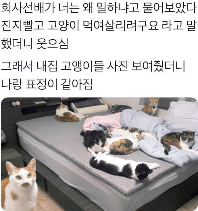 회사선배가 너는 왜 일하냐고 물어보았다 | 인스티즈