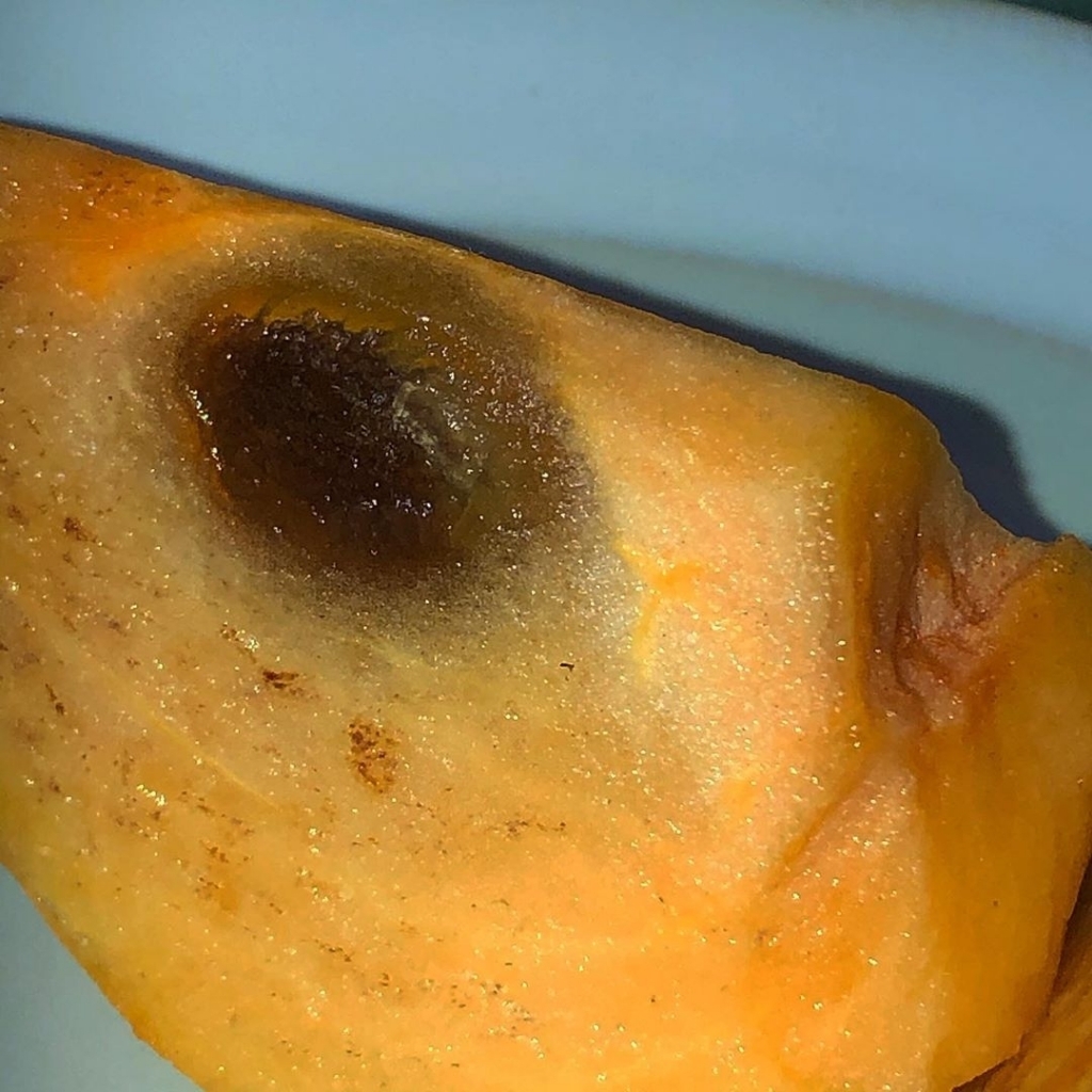 맛없어보이는 음식사진 콘테스트.........jpg | 인스티즈