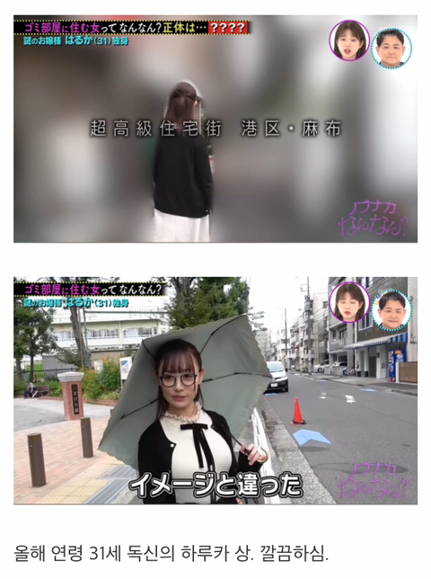 31세 독신의 하루카 상.jpg | 인스티즈