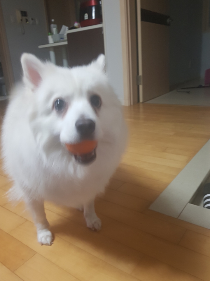 2019년 우리 구름이 | 인스티즈