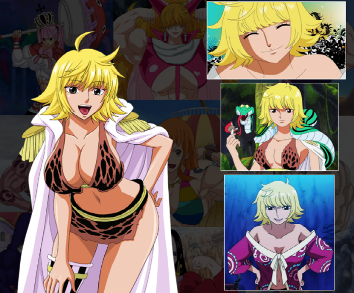 원피스 매력적인 여자캐릭터는? | 인스티즈