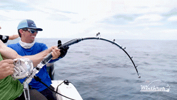 낚시계 하드코어 물고기.jpg | 인스티즈