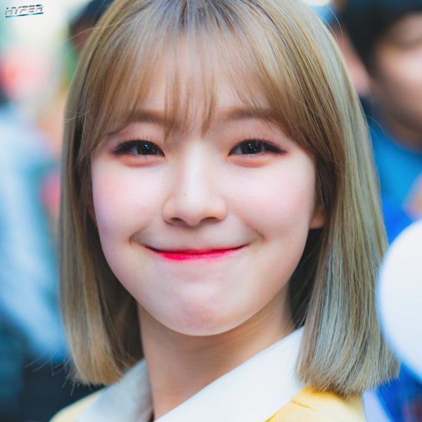 프로미스나인 백지헌 | 인스티즈
