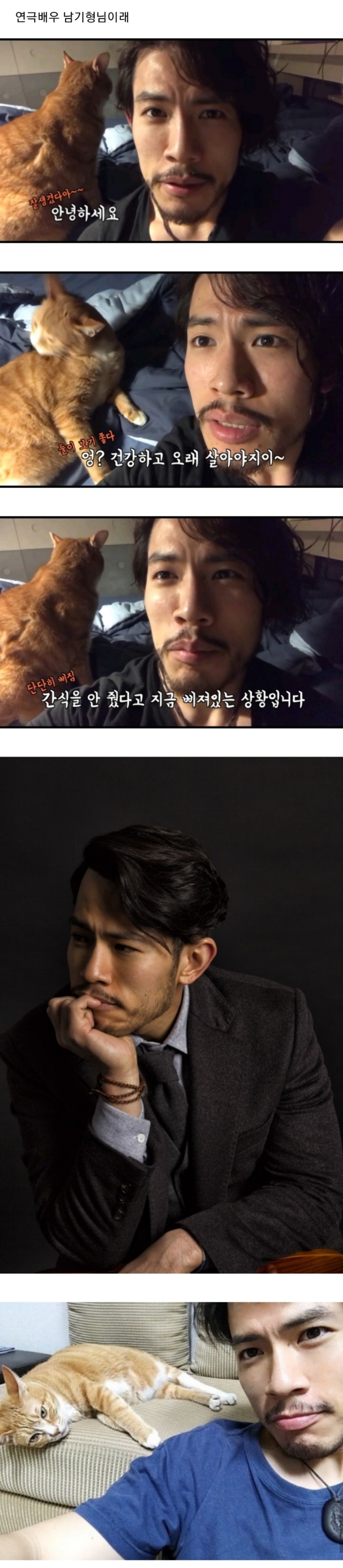 아리(고양이) 유툽 충격 반전 | 인스티즈