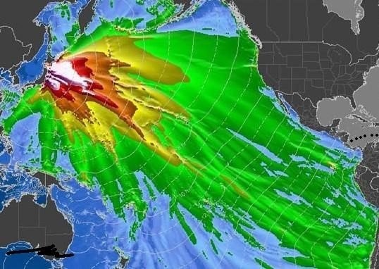 태풍이 오고있지만 제가 있으니 걱정마십쇼 | 인스티즈
